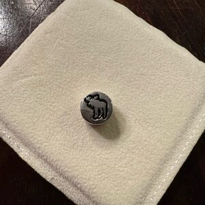 Alaska pandora charm